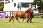 SBM_02445