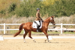 SBM_018798