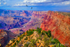 Canyon Condors