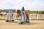 SBM_006461