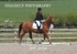 BPP_6066
