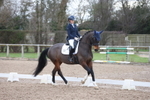 British Dressage portfolio