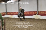 BPP_5648