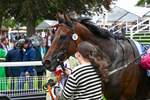 210824-Race 5-Extensio-5671