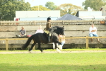 SBM_66628
