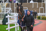 141125-Race 1-Knockanore-8675