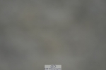 230909-175010-07339
