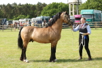 SBM_02311