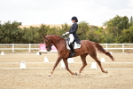 SBM_006801