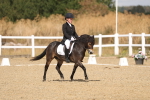 SBM_009042