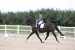 SBM_017538