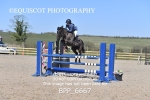 BPP_6667