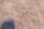 240505A-091736-04148
