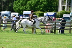 SBM_03809