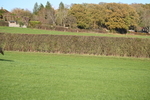 WJ6_3296