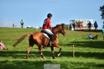 363-DUKE.LEGACY-David.Doel-XC portfolio