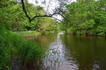 Ropotamo Nature Reserve, Burgas Province, Bulgaria