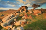 Emsworthy Glow