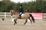 SBM_015700