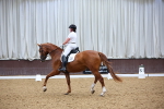 SBM_019254