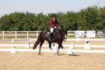 SBM_005641