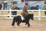 SBM_02053
