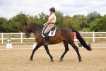 SBM_006627