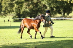 SBM_15943