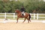 SBM_00547