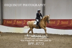 BPP_8773