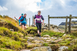 Langdale-2452