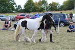 WJ6_6649