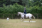 WJ6_0593