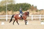 SBM_009509