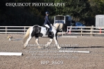 BPP_8609