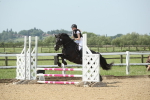 SBM_011660