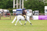 SBM_09493