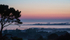 Vazon Sunrise