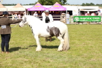 SBM_08620