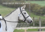 BPP_9968