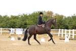 SBM_004628