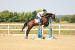 SBM_000785