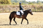SBM_000736