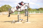 SBM_004776