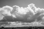 ACP_2478-1