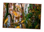 Nina's Garden 2