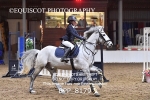 CLASS 3 Pony British Novice / 0.80m Open portfolio