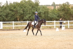 SBM_000264