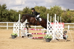SBM_008592