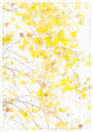 ABSTRACTS & IMPRESSIONS portfolio